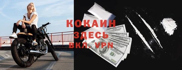 твердый Елизово