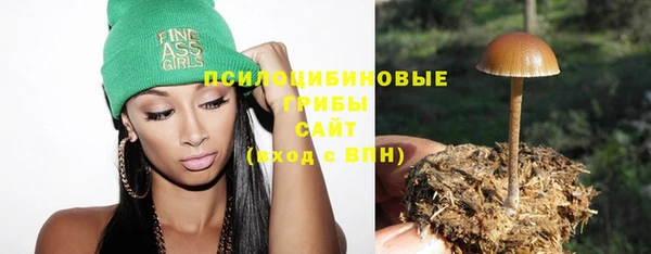 молекула духа Елабуга