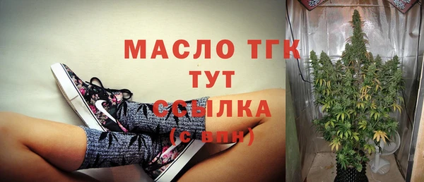 твердый Елизово