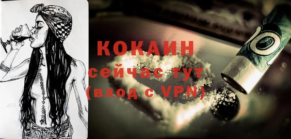 дживик Ельня