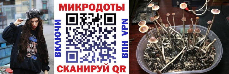 Псилоцибиновые грибы Magic Shrooms  Купить где  Северск 