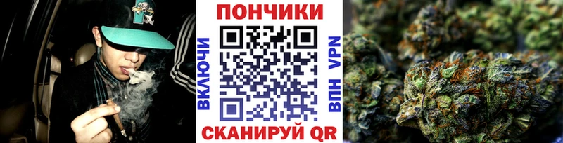 Каннабис Amnesia  Купить закладки  Северск 